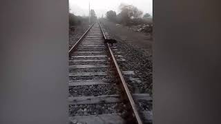 Hero train driver does emergency stop to save dog tied to railway tracks   World News   Mirror Onlin