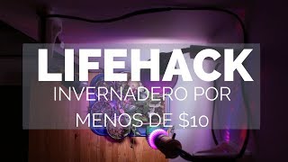 Lifehack cómo hacer un invernadero con materiales reciclados