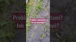 Problem z chwastami?Jak się ich pozbyć? #recenzja #recezio #chwasty #oprysk #dom #ogród #trik