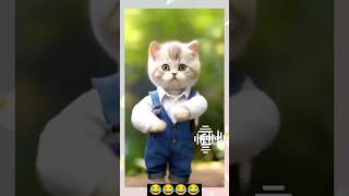 joget kucing gemoy#shorts @creatorvideoz #djremix #jedagjedug