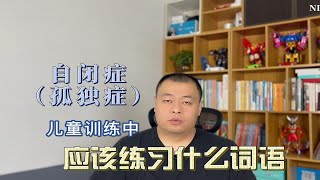 自闭症（孤独症）儿童训练中的代词和形容词