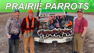 PHEASANT hunting TEXAS {WILD BIRDS!!!} & bonus CRANES