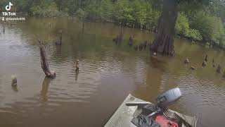 Big Bass Catching air!! In a lake most can't get too!