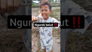 Dapet belut #shortvideo