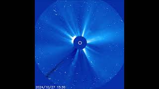 Comet C/2024 S1 ATLAS Falls Into the Sun