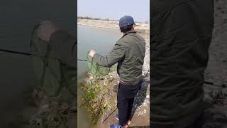 Рыбалка в Узбекистане Улов 2 апреля 2022 год | Fishing PRO Темур | Тик Ток #Shorts