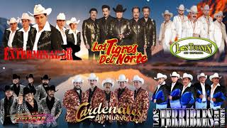 Exterminador, Tigres Del Norte, Rieleros Del Norte, Cardenales De Nuevo Leon, Tucanes Exitos