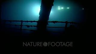 Titanic Archive Project: Nature Footage Collection - Backlit Bow Rail/Anchor Crane