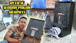 REVIEW WADAH PAKAN MERPATI OTOMATIS - MANTULL !!