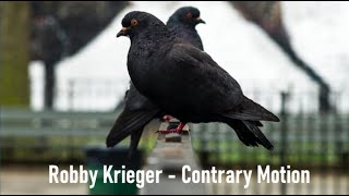 Robby Krieger - Contrary Motion