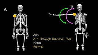 Muscle Control Formula Concentric #1