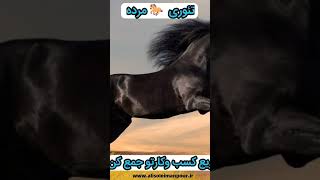 تئوری اسب مرده جمع کردن کسب وکار مرده و ورشکسته