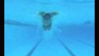 Kaio Almeida - butterfly - underwater front view