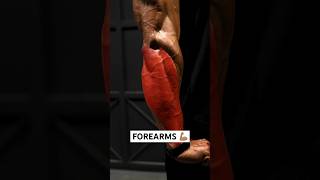 Grow FOREARMS with these exercises 💪🏽  #shorts