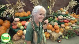 Pumpkin & Gourd Fall/Halloween Tour at Green Thumb Nursery in Lake Forest!