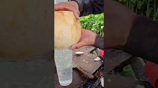 Do you like to drink coconut water? #coconut #fresh #shorts #viralvideo #short