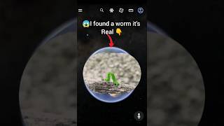 😱I found a worm it's Real 👆🤯on Google Earth and Google Maps #shorts @HRGoogleEarth