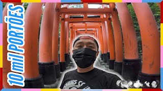 VLOG DE KYOTO - Parte 4 | Nunca vi tantos assim | Fushimi Inari Temple