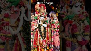 Shyama Aan Baso Hare Krishna #lordkrishna #krishna #harekrishna #iskcon  #shorts #radheradhe