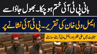 Aimal Wali Khan Speech At Senate Session || His speech was Totally Targeted On PTI and Imran khan