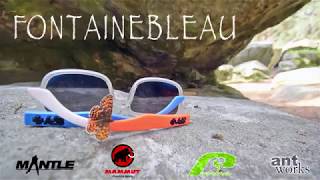 Fontainebleau adventures 2017