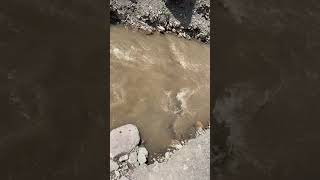 #afghanistanfoodagriculture #flood #afghanvillage #travel #gardening #viralvideo