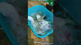 Ayam goreng bawang putih viral #short