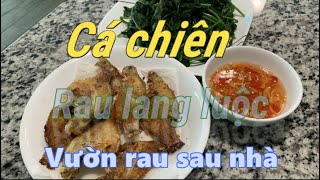 Cá chiên - Rau lang luộc - Tham quan vườn rau sau nhà tại Mỹ.