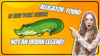 Alligators in the Sewer  - Not An Urban Legend!