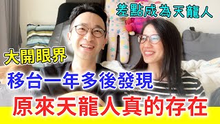 【移民台灣生活】原來天龍人真的存在！？移台一年多的有趣見聞，大開眼界！錯失成為天龍人的機會，好後悔？｜貓奴與寵物移民紀錄 #領養不棄養