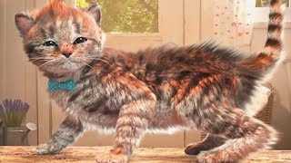 My Favorite Little Kitten Pet Care Kids Games - Play Fun Little Kitten Cat Games for Toddlers