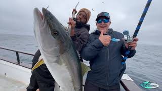 Eldorado Yellowtail | Angler Chronicles | Sergio