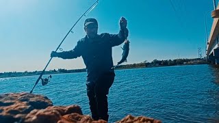 How to catch striped bass (easy tutorial)