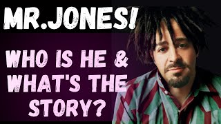 Counting Crows Mr. Jones Song Meaning | MishMash Song Analysis.