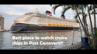 Best Pre-Cruise Dinner in Port Canaveral | Fishlips Restaurant | Carnival Magic