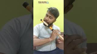 Ed Sheeran-Perfect|Flute Cover|Partha Pratim Nandi