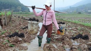 Full video. 30 days of making flower pots / carrying manure in four fields - Free Wild Building