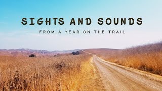 Sights and Sounds: 2022 on the Trail