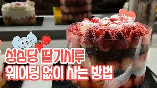 성심당 딸기시루, 웨이팅 없이 사는 방법! 🍓👀