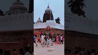 ଶ୍ରୀମନ୍ଦିରରେ ଫଗୁ ଦଶମୀ | Phagu Dashami in Puri Jaganath temple #shorts #youtubeshorts