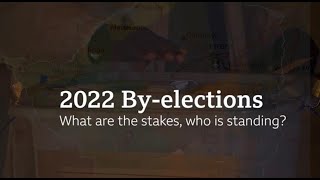 Who is Standing and what are the stakes in Zimbabwe’s 2022 By-elections