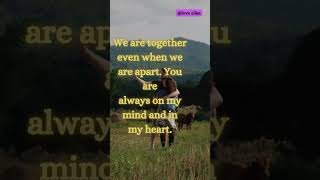 😍🤗LoveQuotes|RelationshipGoals❤️#relationship #couplequotes  #shorts #shortsvideo #ytshorts