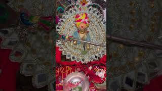 Laddu gopal ji ka video 😍 #ytshorts #youtubeshorts #viralvideo #trending #laddugopalji