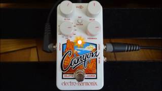 Electro Harmonix Canyon Delay & Looper - Tape Delay Demo