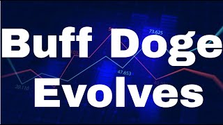 Buff Doge Coin Price Prediction Buff Dogecoin Buff Doge Coin [November] - Buff Doge Coin Evolves