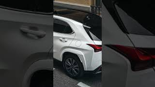 Lexus ux 250 h        @lexus