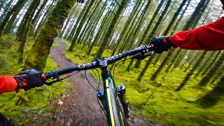 Magic flow at mtb trails in Davagh forest