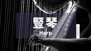 MUZIK豎琴古典音樂｜韓德爾、蕭邦、莫札特、德布西 1 HOUR CLASSICAL HARP MUSIC