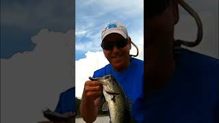 Micro Crankbait Fishing   #shorts