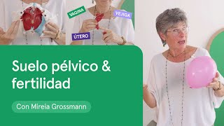 ¿Qué es el SUELO PÉLVICO? 🌻 Descubre su importancia para la FERTILIDAD 💪